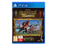 PlayStation Harry Potter Mistrzowie Quidditcha Edycja Deluxe - 1275311 - zdjęcie 1